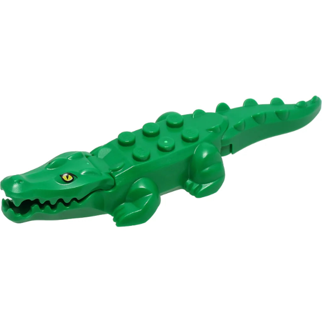Alligator